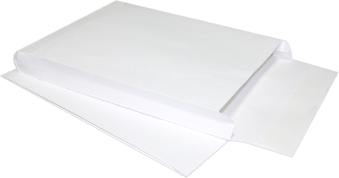 10 x 13 x 2 Expansion Envelopes 18lb. 18lb. Tyvek
