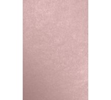 11 x 17 Cardstock