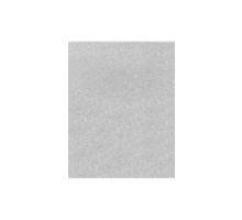 11 x 17 Cardstock