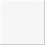 12 x 12 Cardstock