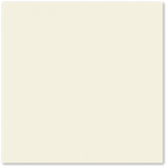 12 x 12 Cardstock