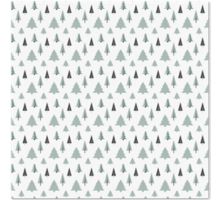 12 x 12 Cardstock (Pack of 10)