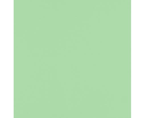 12 x 12 Paper Pastel Green