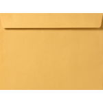 9 x 12 Clasp Envelope
