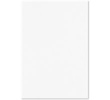 13 x 19 Cardstock