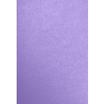 13 x 19 Paper