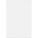 13 x 19 Paper