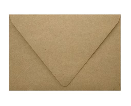 A1 Contour Flap Envelope (3 5/8 x 5 1/8) Grocery Bag