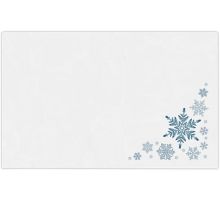 #1 Coin Envelope (2 1/4 x 3 1/2)