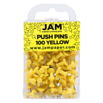 Push Pins (Pack of 100)
