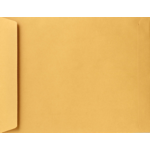 Jewelers/Coupon Envelope (3 5/8 x 6)