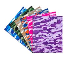Two Pocket 3 Hole Punch Glossy Presentation Folders (Pack of 6)