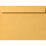 9 x 12 Booklet Envelope