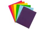 Two Pocket Matte Cardstock Presentation Folder (Pack of 6) Assorted