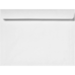 #10 Full Face Window Envelope (4 1/8 x 9 1/2)