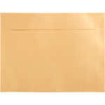 6 x 9 Booklet Envelope