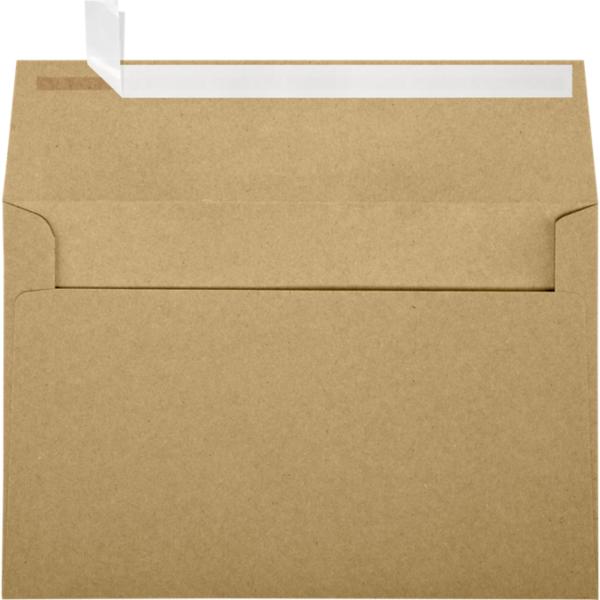 LUXPaper 6 x 9 Booklet Envelopes | Clear Translucent | 30lb. Text | 50 Qty