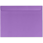 9 x 12 Booklet Envelope