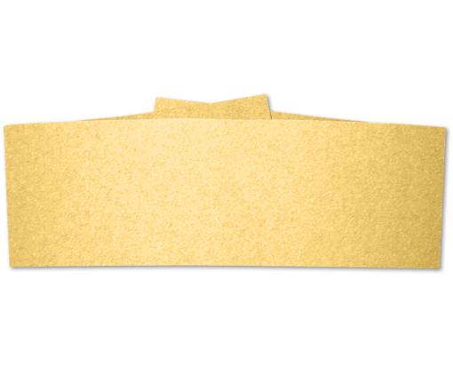 5 x 1 1/2 Belly Band Gold Metallic