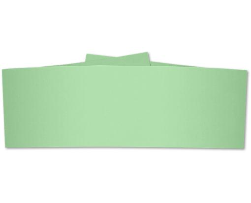 5 x 1 1/2 Belly Band Pastel Green