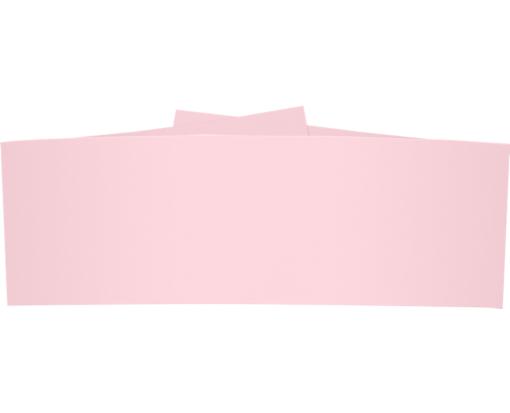 5 1/4 x 2 Belly Band Candy Pink
