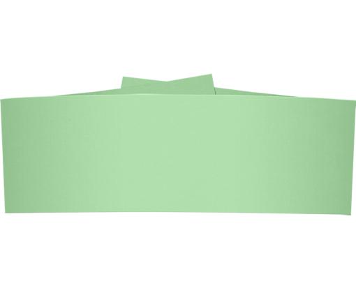 5 1/4 x 2 Belly Band Pastel Green