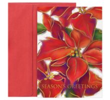 5 5/8  x 7 7/8 Folded Card Set (Pack of 16)