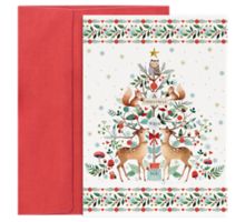 5 5/8  x 7 7/8 Folded Card Set (Pack of 16)