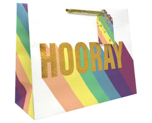 Large (12 1/2 x 10 x 5) Gift Bag - (Pack of 120) Hooray