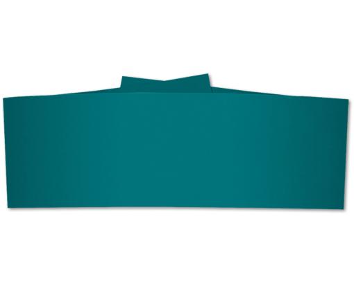 5 x 2 Belly Band Teal