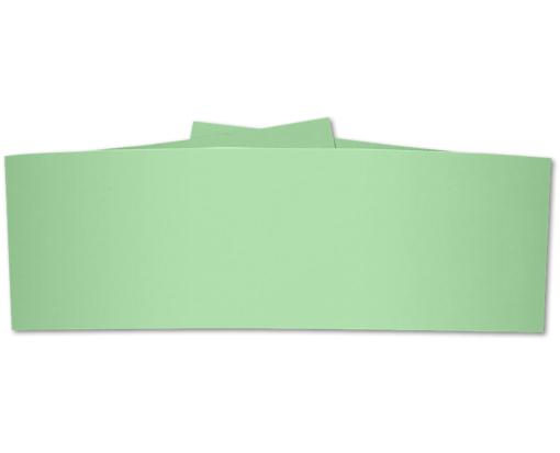 5 x 2 Belly Band Pastel Green