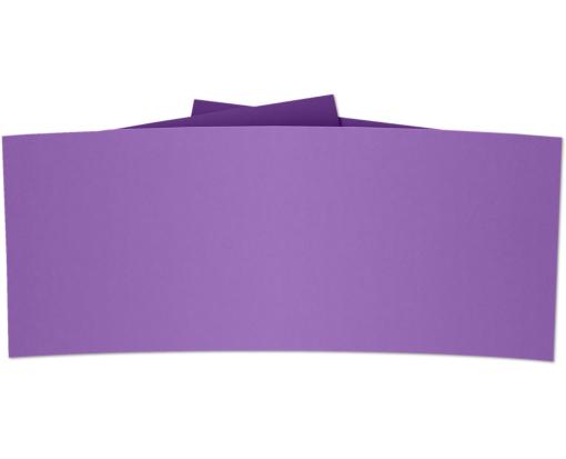 6 1/4 x 1 7/8 Belly Band Grape