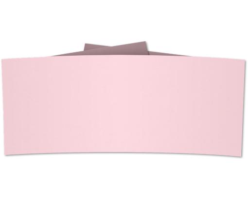 6 1/4 Belly Band Candy Pink