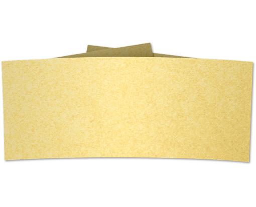6 1/4 Belly Band Gold Metallic