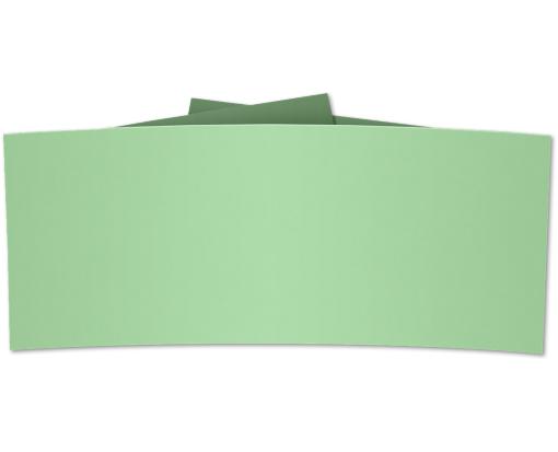 6 1/4 Belly Band Pastel Green