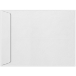 #10 Open End Envelope (4 1/8 x 9 1/2)