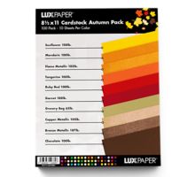 8 1/2 x 11 Cardstock Autumn Variety Pack of 100
