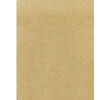 8 1/2 x 11 Cardstock