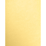 8 1/2 x 11 Paper