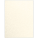 8 1/2 x 11 Paper Variety Pack of 100