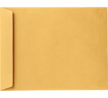 13 x 17 Jumbo Envelope