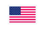 5 1/4 x 8 Packing List Enclosed Envelope U.S.A. Flag