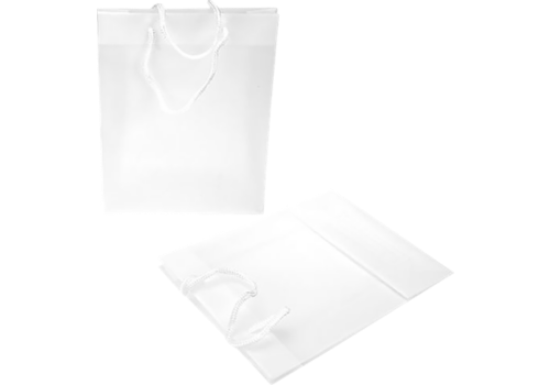 8 5/8 x 3 x 10 3/4 Clear Colored Gift Bag 10 Pieces