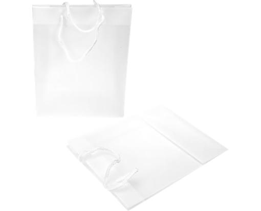 8 5/8 x 3 x 10 3/4 Clear Colored Gift Bag (Pack of 10) Frosted