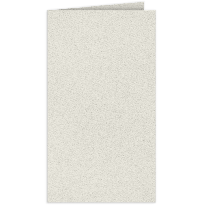 Card Holder (2 3/4 x 3 3/4) Snowstorm Gray