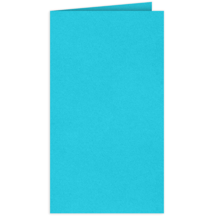 Card Holder (2 3/4 x 3 3/4) Turquoise Blue