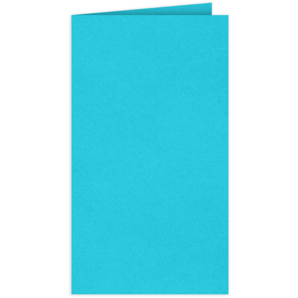 Card Holder (2 3/4 x 3 3/4) Turquoise Blue
