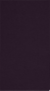 Card Holder (2 3/4 x 3 3/4) Fig Purple