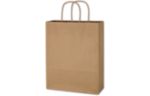 Paper Shopping Bag (10 x 13) (Flexography) Brown