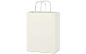 Paper Shopping Bag (10 x 13) (Flexography)